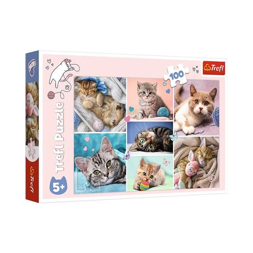 Puzzle TREFL 100 W kocim świecie