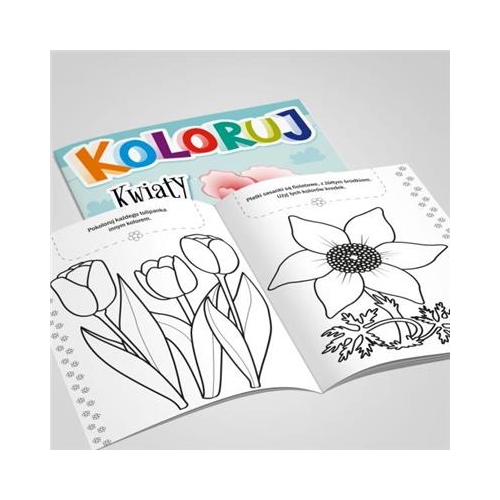 Kolorowanka Kolekcja Koloruj - Kwiaty-30159