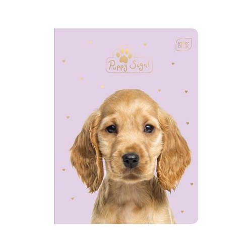 Zeszyt Interdruk A5/16 Krata Pieski i kotki puppy -30415