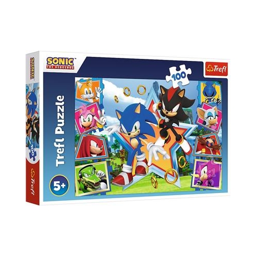 Puzzle TREFL 100 Poznaj Sonica Sonic Hedgehog-31565