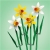 LEGO® 40747 Icons - Żonkile-33072
