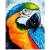Malowanie po numerach 30x40cm Papugi