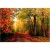 Malowanie po numerach 40x50cm Park jesienny