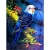 Malowanie po numerach 40x50cm Papuga niebieska