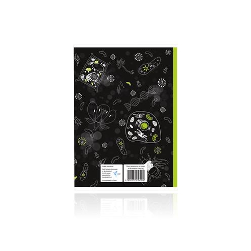 Zeszyt SEBIT A5/60 BIOLOGIA +kolorowa ściąga-34880