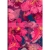 Kalendarz tygodniowy Oxford A6 2025 Flowers   MAŁY