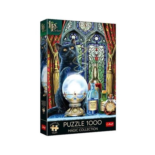 Puzzle TREFL Premium 1000 Uczeń czarownicy