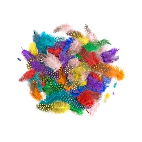 Piórka bażanta 4-7cm 10g mix kolorów Brights