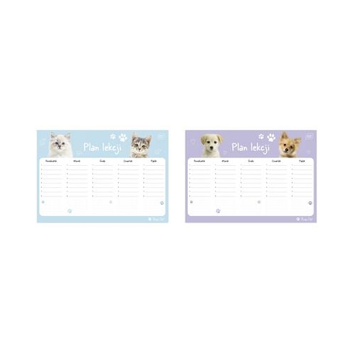 Plan lekcji A4 Interdruk Puppy sign pieski i kotki-38141