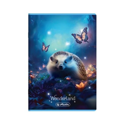 Zeszyt Herlitz A5/32 Wonderland Linia kolorowa-38192