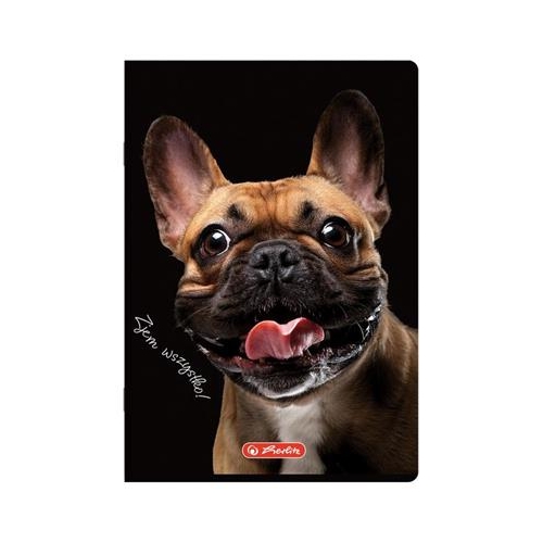 Zeszyt Herlitz A5/60 Crazy Animal Kratka