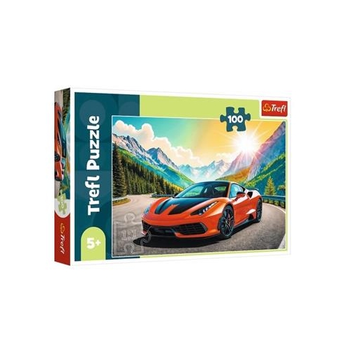 Puzzle TREFL 100 Wyścig z czasem