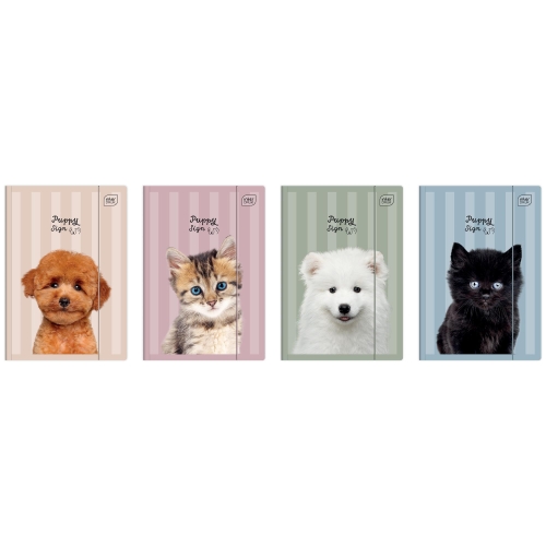Teczka z gumką A4+ Interdruk Puppy Sign-38630