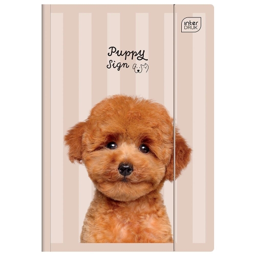 Teczka z gumką A4+ Interdruk Puppy Sign