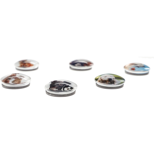 Magnesy szklane do tablic 30mm 6szt Pieski 2-39770