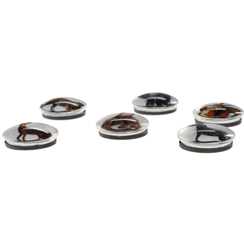 Magnesy szklane do tablic 30mm 6szt Zwierzęta-39773