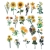 Naklejki foliowe Titanum 6 plansz Kwiaty mix żółte-39979