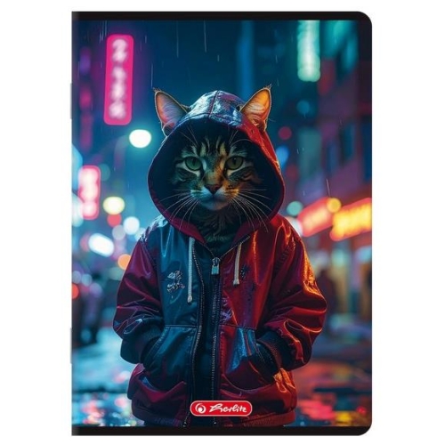 Zeszyt Herlitz A5/96 MIX Kratka