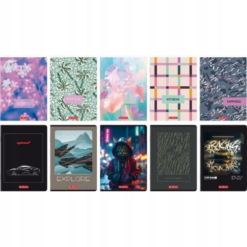 Zeszyt Herlitz A5/96 MIX Kratka-40138