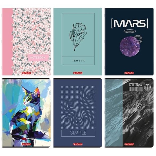 Zeszyt Herlitz A4/60 MIX Linia szeroka        DUŻY-40186